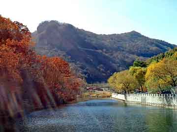 新澳天天开奖资料大全旅游团，穿越小说免费阅读